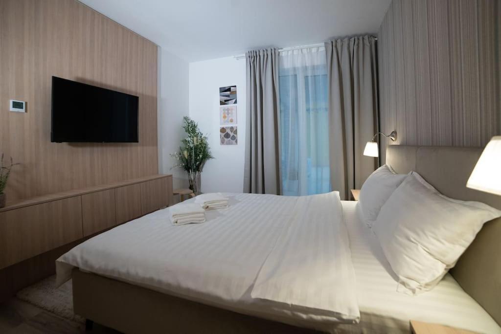 Carpe Diem Travel Temešvár Exteriér fotografie